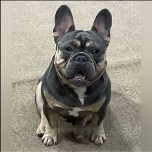 Shipping Label 🏷️ 💕